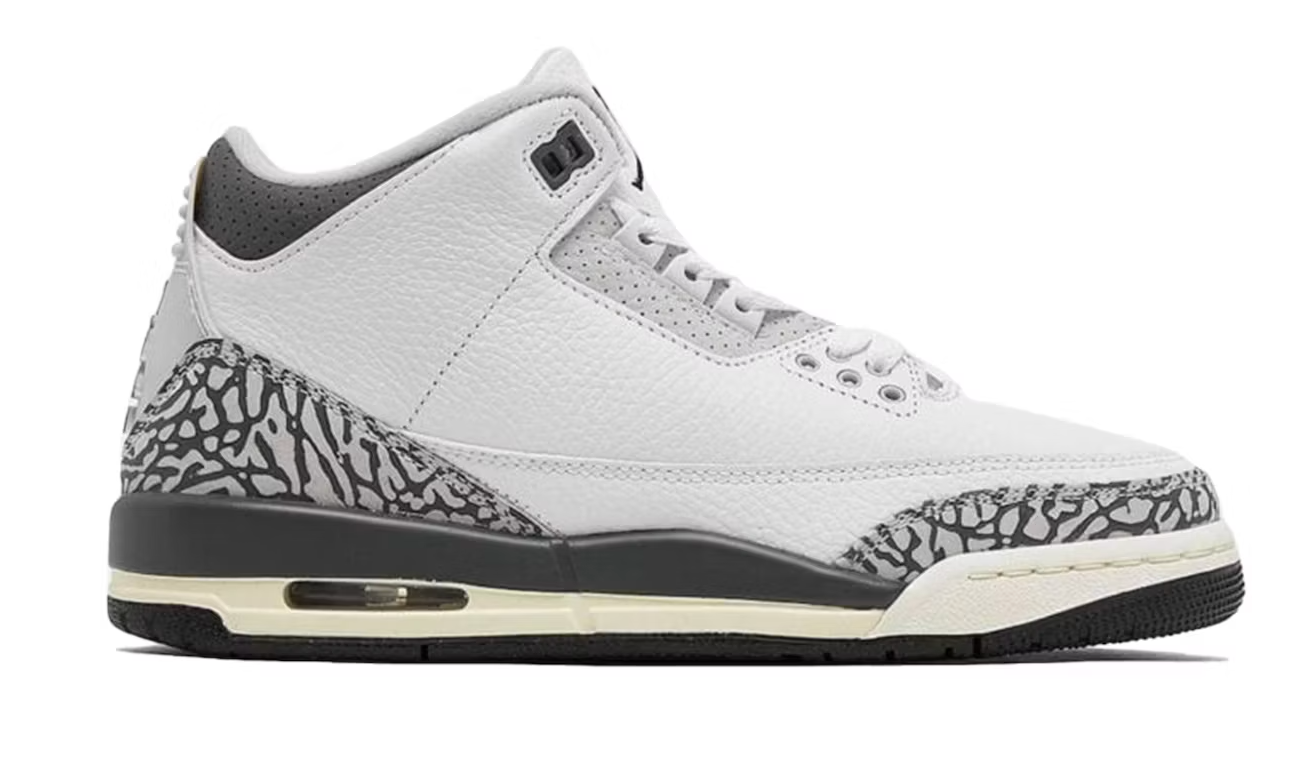 Air Jordan 3 Retro Hide N' Sneak (GS)