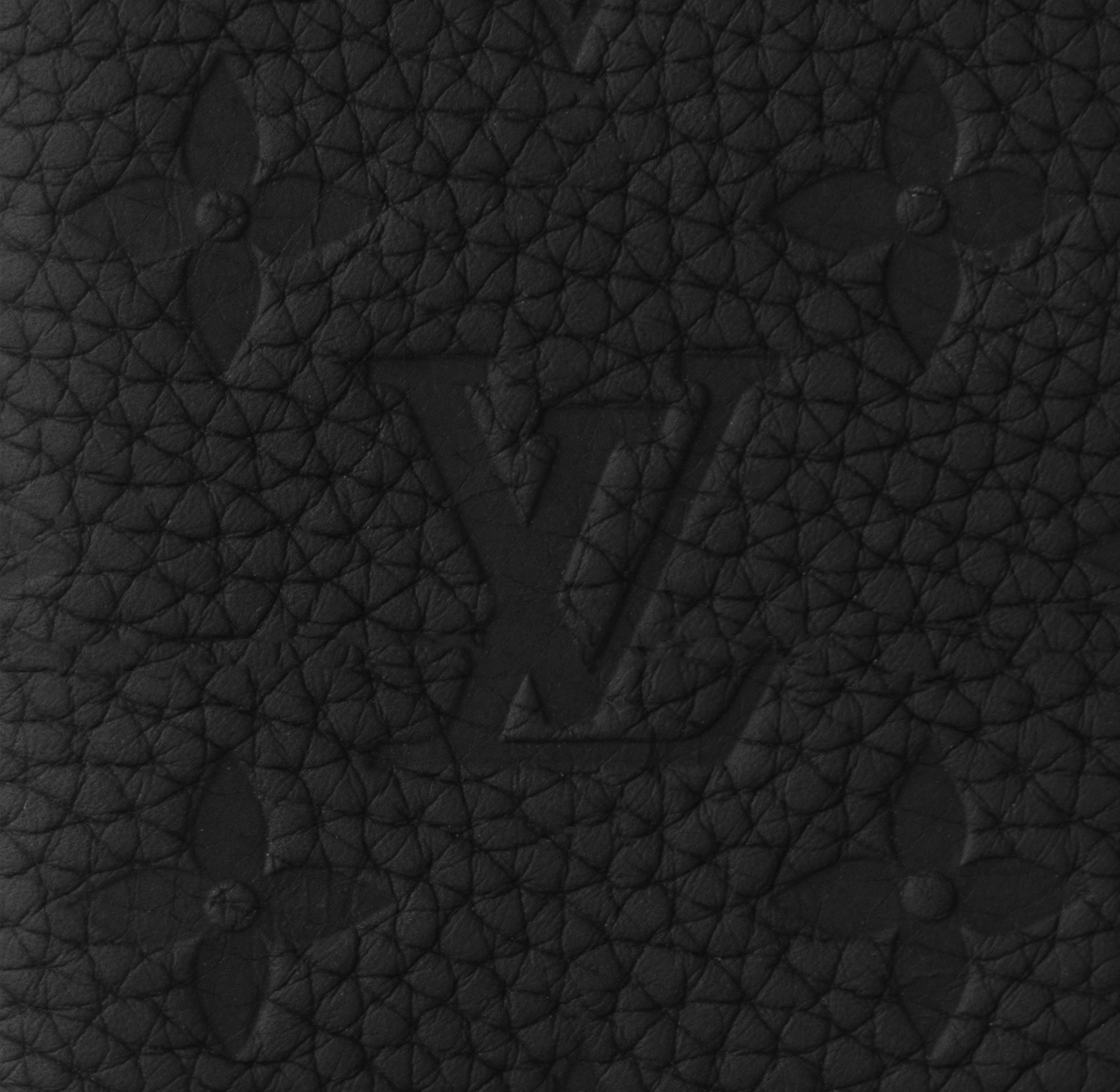 Louis Vuitton Cardholder Embossed Black Wallet
