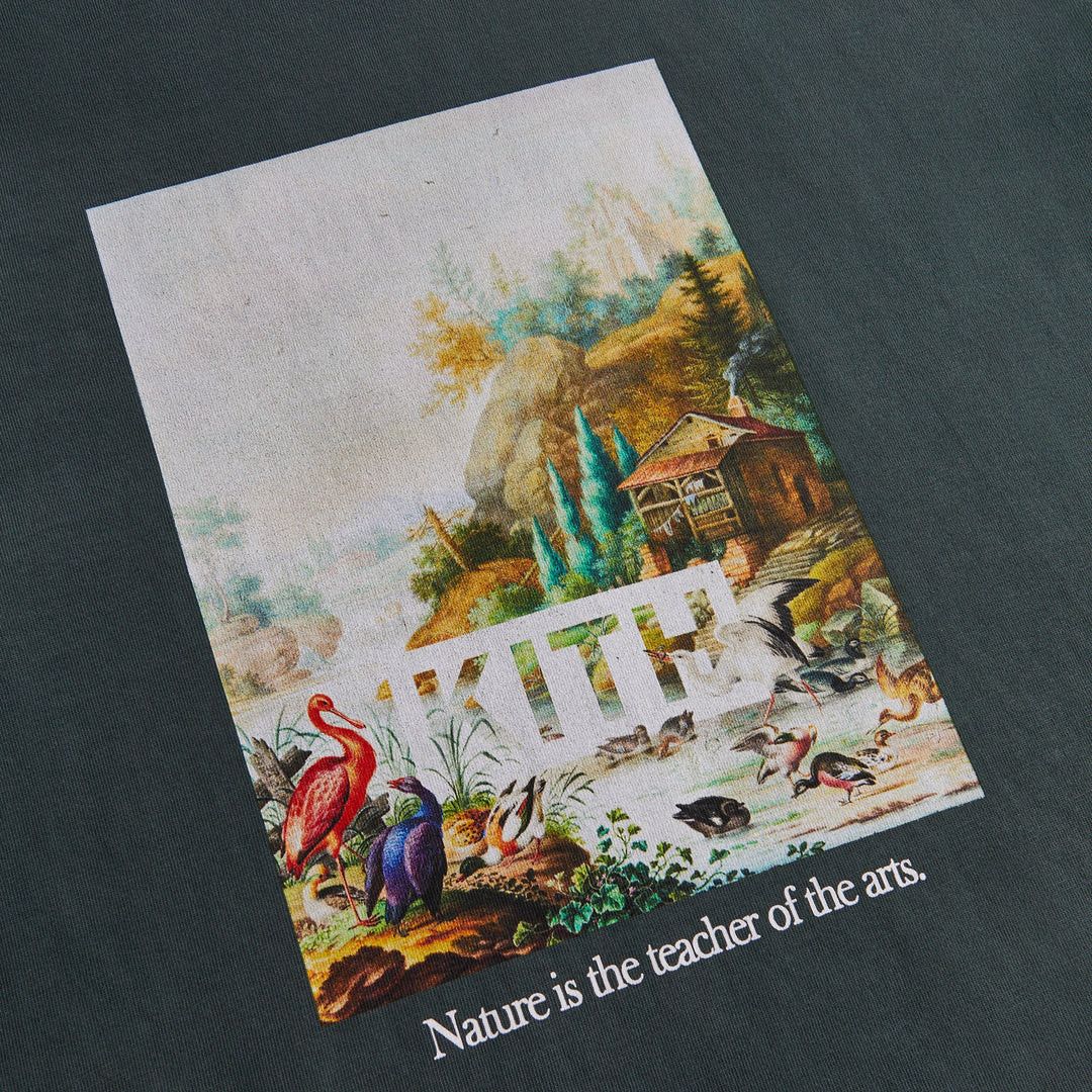 Kith Art Of Nature Vintage Tee Green