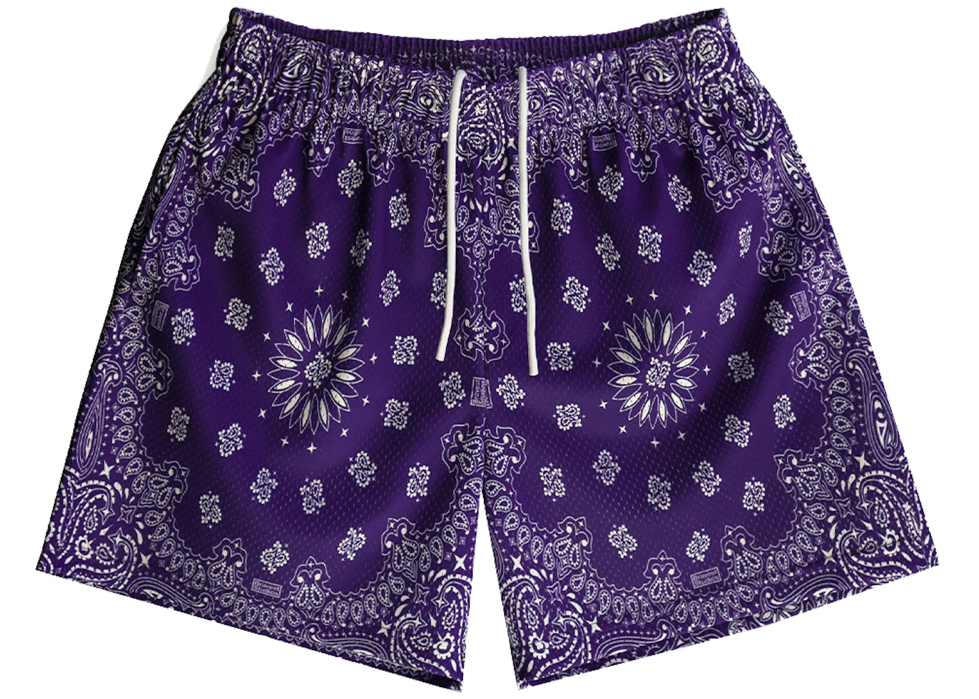 Bravest Studios Paisley Shorts Purple